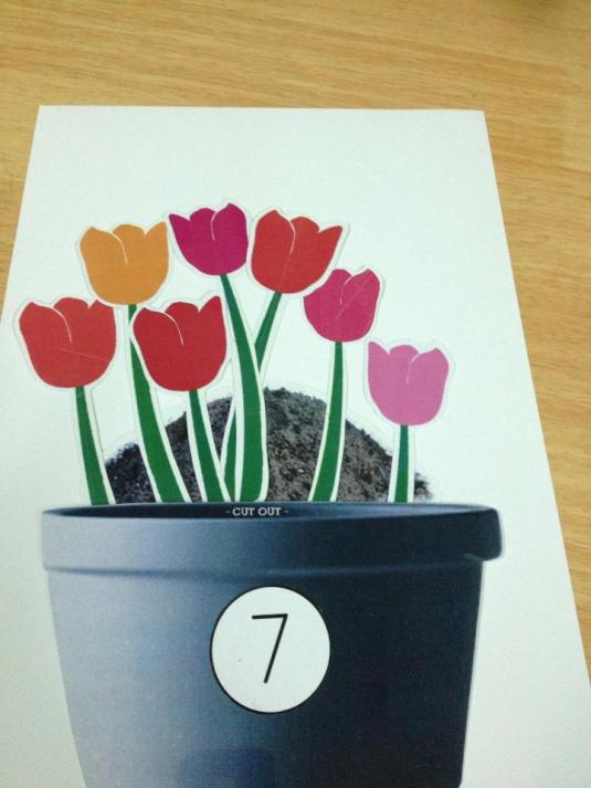 Cuối cùng chậu hoa xinh đẹp với 7 bông tulip đã hoàn thành